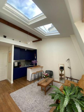 Loft sous les toits en plein coeur de Montmartre!